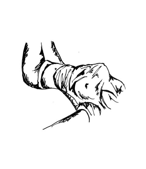 lilmisspaige header picture leakfans.com