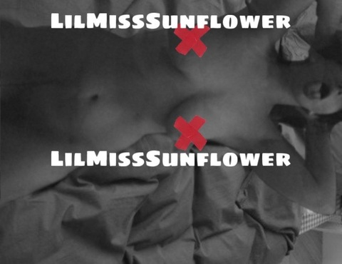 Header of lilmisssunflower