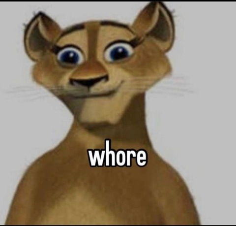 lilrosequartz header picture leakfans.com