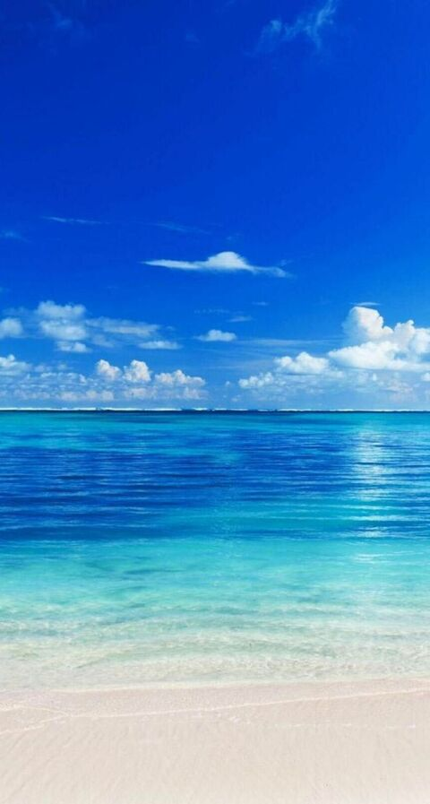 lilxander header picture leakfans.com