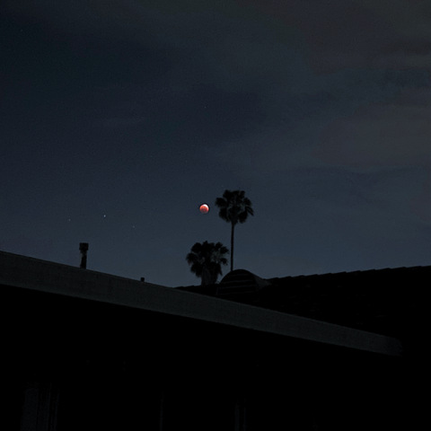 lilxmartianfree header picture leakfans.com