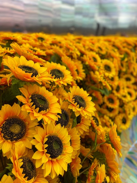 lily.blu header picture leakfans.com