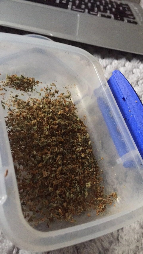 lilywatson header picture leakfans.com