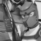 lincolnrose profile picture leakfans.com