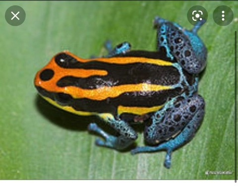 lindsayye header picture leakfans.com