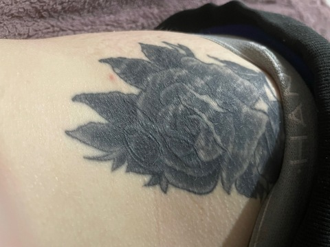 lindseyanna header picture leakfans.com