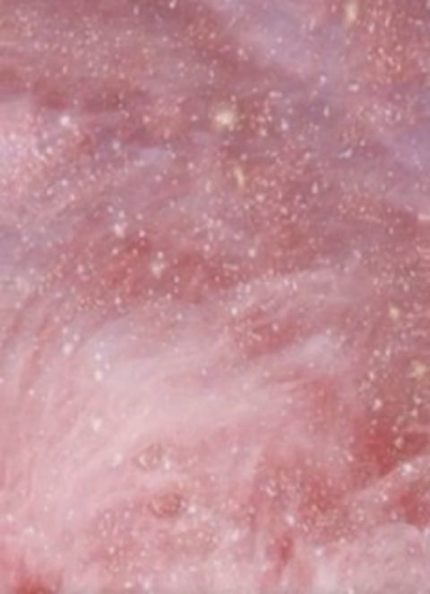 lineli header picture leakfans.com