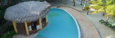 linneas header picture leakfans.com