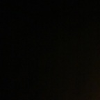 linzer profile picture leakfans.com