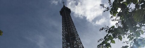 lion_al header picture leakfans.com