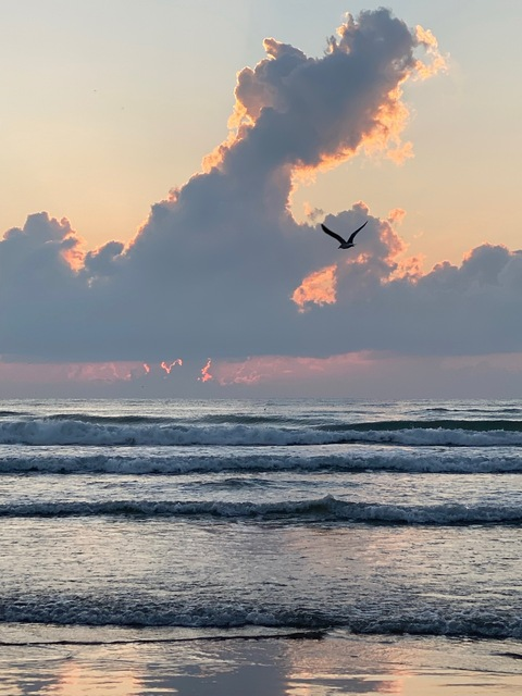 lis.carrizales header picture leakfans.com