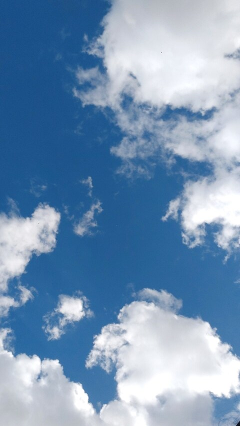 littleboo header picture leakfans.com