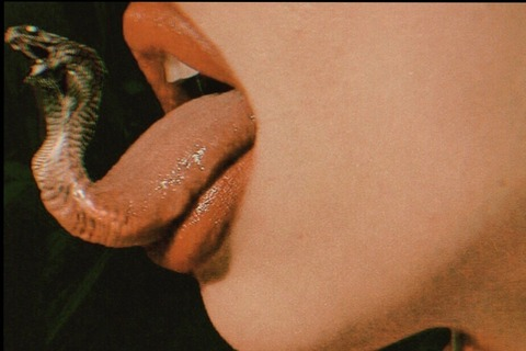 littlechi header picture leakfans.com