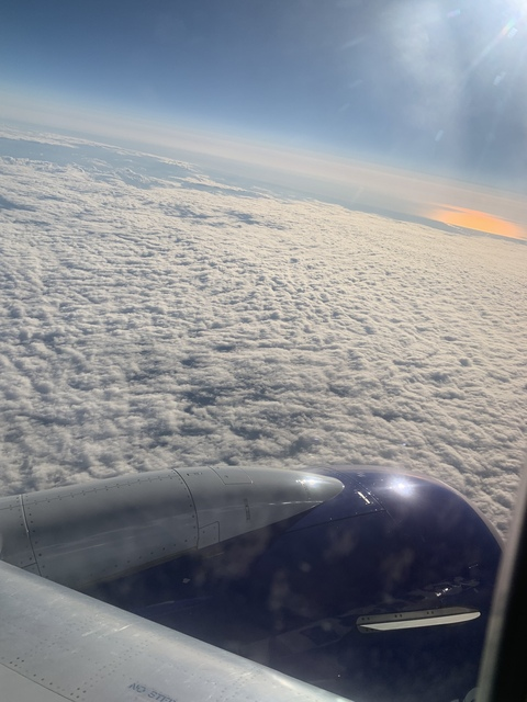 littlecowboy header picture leakfans.com