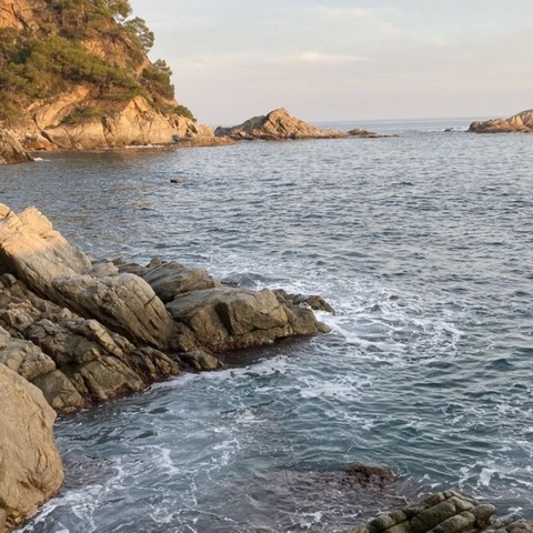 littleebabyyyy header picture leakfans.com