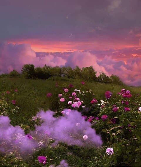 littlejaay header picture leakfans.com