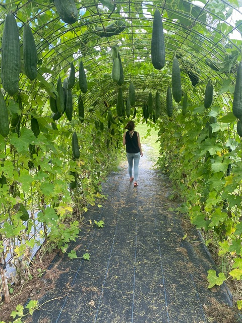 littleladylovely header picture leakfans.com