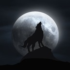 littlemoonwolf profile picture