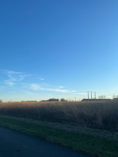 littlemothxo header picture leakfans.com