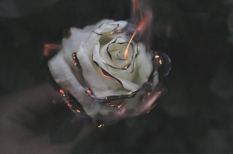 littleomifeet header picture leakfans.com