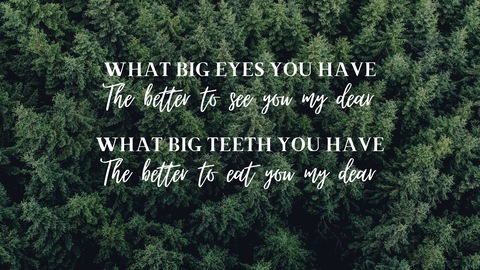 littleryn header picture leakfans.com