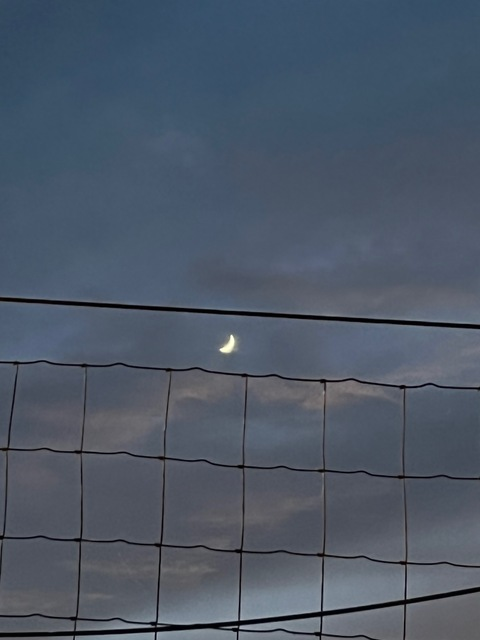 littleslut19 header picture leakfans.com