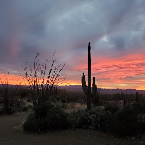 littlestarshine header picture leakfans.com