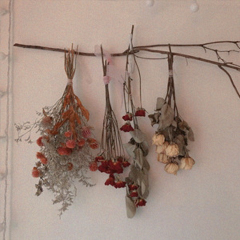 littlevera header picture leakfans.com