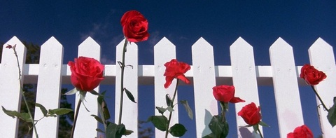 littlexhell header picture leakfans.com