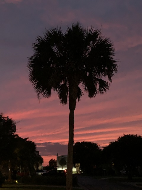 liv421 header picture leakfans.com