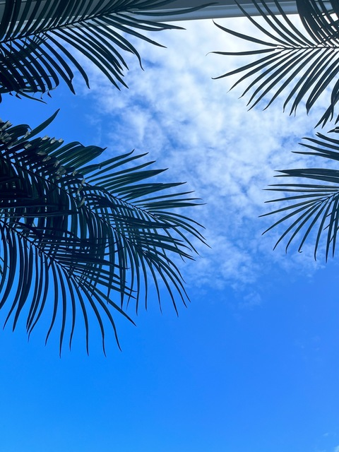 livi.s header picture leakfans.com