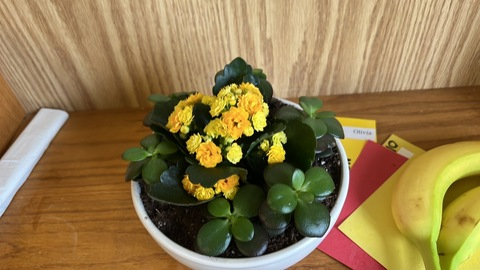 liviaclarkeee header picture leakfans.com