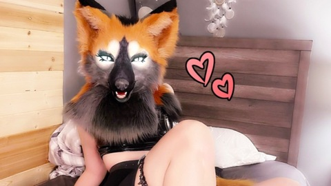 lividpuppy header picture leakfans.com