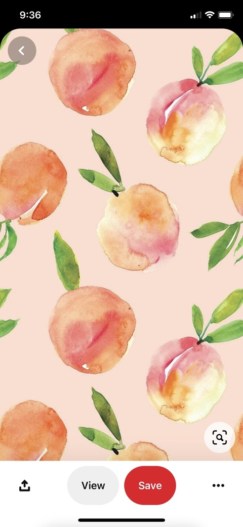 liz_love header picture leakfans.com