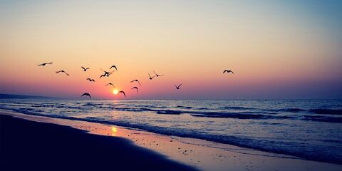 lizat header picture leakfans.com