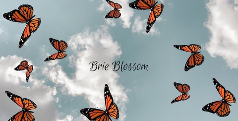 lizgmz header picture leakfans.com