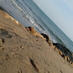 lizip profile picture leakfans.com