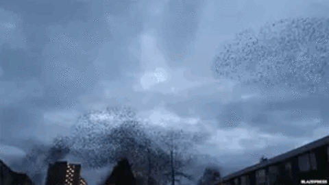 llewellyn header picture leakfans.com