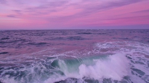 llinessa header picture leakfans.com