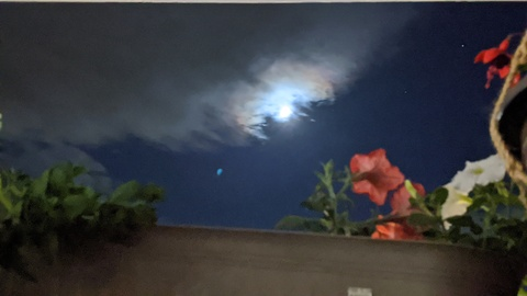 llustfulcurves header picture leakfans.com