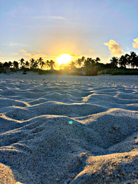 localunita header picture leakfans.com