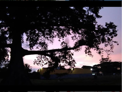 lolabigareolasfree header picture leakfans.com