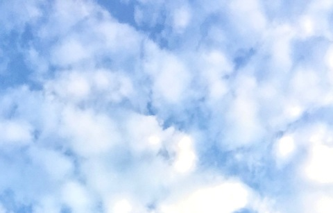 lolareads header picture leakfans.com