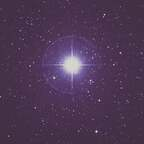 lonelystar.xo profile picture leakfans.com