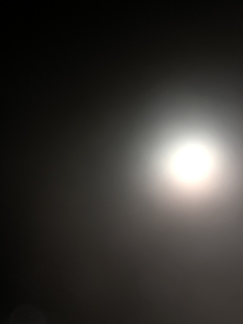 longcockflacko header picture leakfans.com