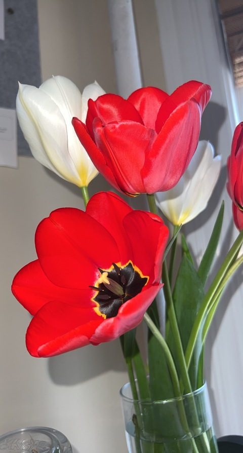 lookingformysoilmate header picture leakfans.com