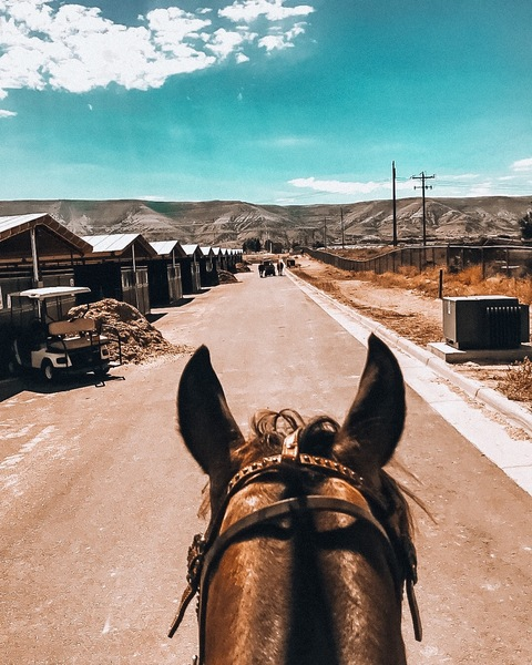 lorrielynn header picture leakfans.com