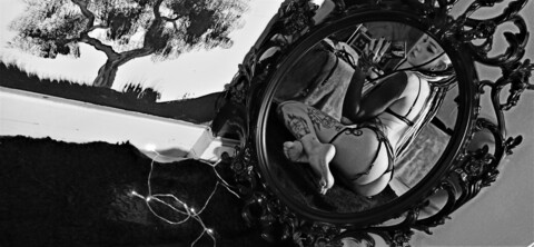 lostunicat header picture leakfans.com