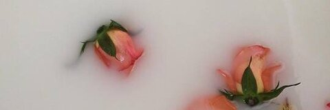 lotusdaphne header picture leakfans.com