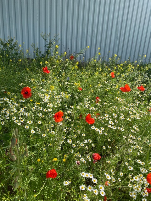 louleah1254 header picture leakfans.com